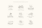Birth-Flowers. Trendy Plants, Logos, a Seasonal Illustration by Designwork (Thumbnail 7 of 21)