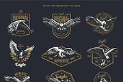 Set of the emblem with the eagle., an Animal Illustration by Masterlevsha (Thumbnail 1 of 5)
