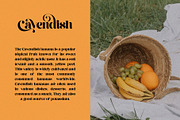 Rekalgera - Gorgeous Display Serif, a Serif Font by BrandSemut (Thumbnail 7 of 10)