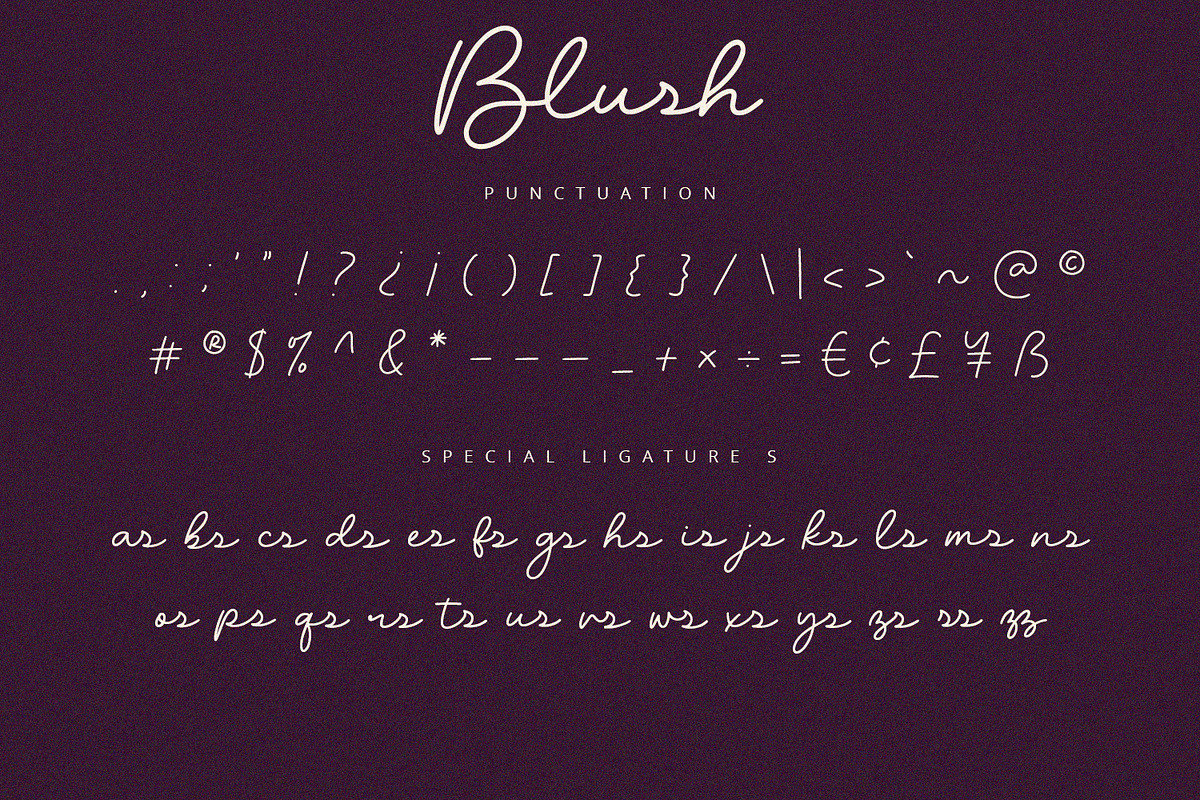 Blush - Script Font, a Script Font by Alpaprana (Photo 9 of 10)