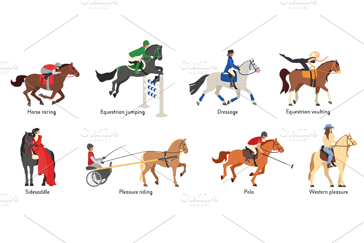 Cartoon equestrian disciplines, an Animal Illustration by winwin.art