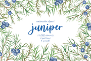 Juniper berries watercolor clipart, a Seasonal Illustration by Irina Avdeeva (Thumbnail 1 of 5)