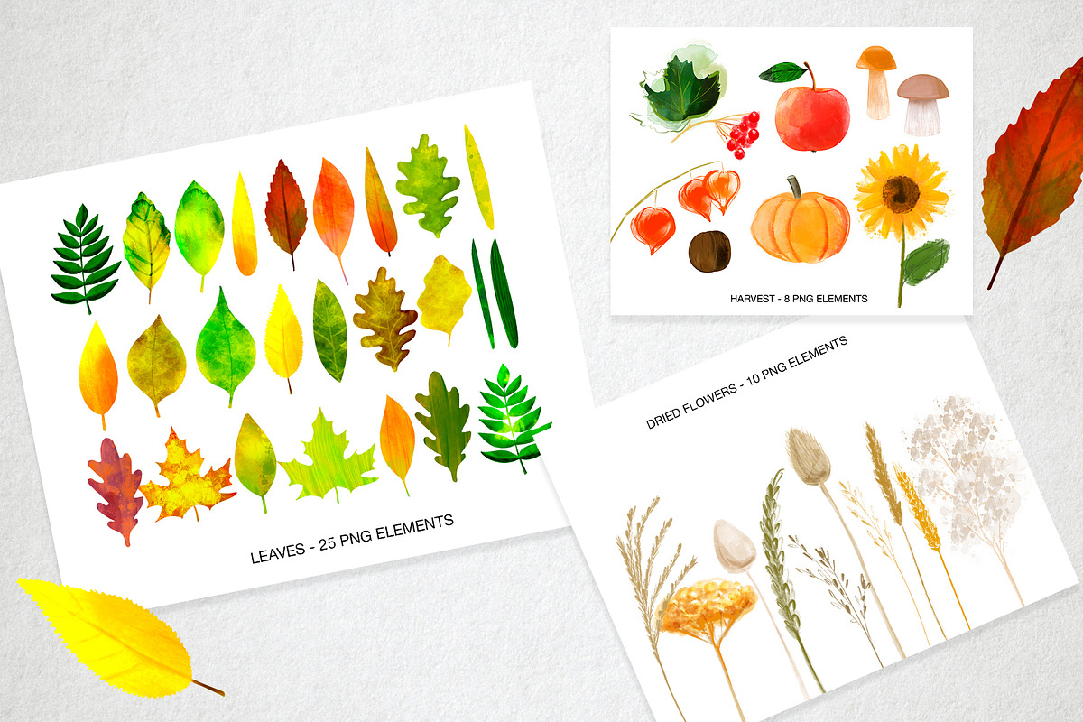 Autumn collection, a Background Graphic by ViktoriaLapshyna (Photo 2 of 10)