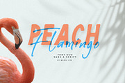 Peach Flamingo Font Duo, a Font by BodigStd (Thumbnail 1 of 8)