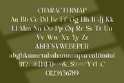 Beniga || Modern Elegant Serif Font, a Serif Font by Ermedia Studio (Thumbnail 8 of 10)