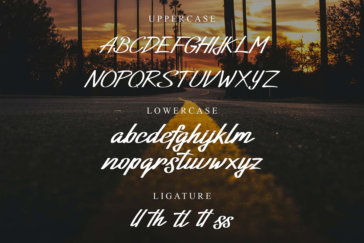 Vitha Script Font, a Script Font by Zelda Graphic (Photo 2 of 4)