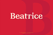 INFERNO Serif font, a Serif Font by Artistic & Unique (Thumbnail 12 of 17)
