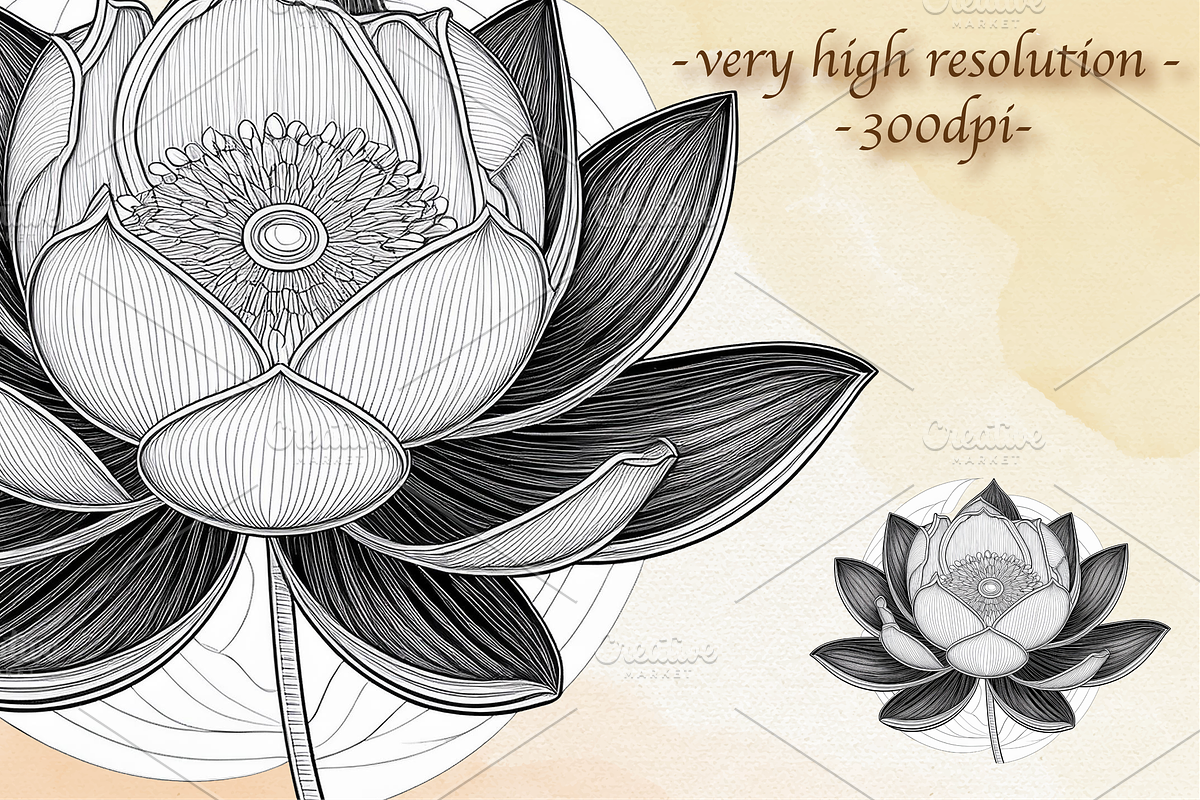 Sacred Lotus Flowers hand drawn logo, an Object Illustration by GraphicRedStudio (Photo 3 of 10)