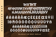 Midnight Blackfire, a Serif Font by Storytype Studio (Thumbnail 14 of 15)