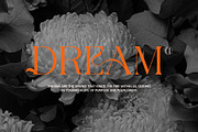 The Rebies Elegant Serif Font, a Serif Font by Perfectype (Thumbnail 3 of 8)