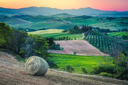 Dawn scenery with hay bale