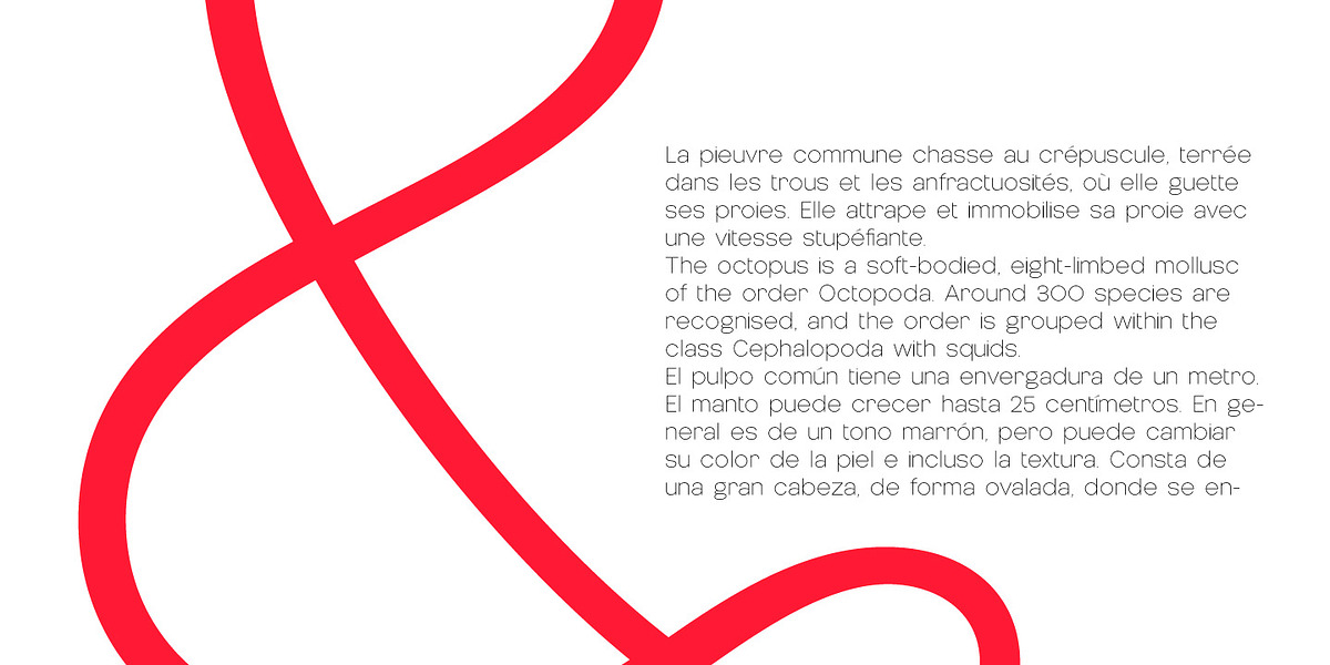 Nemorosa, a Sans Serif Font by Octotypo (Photo 5 of 7)