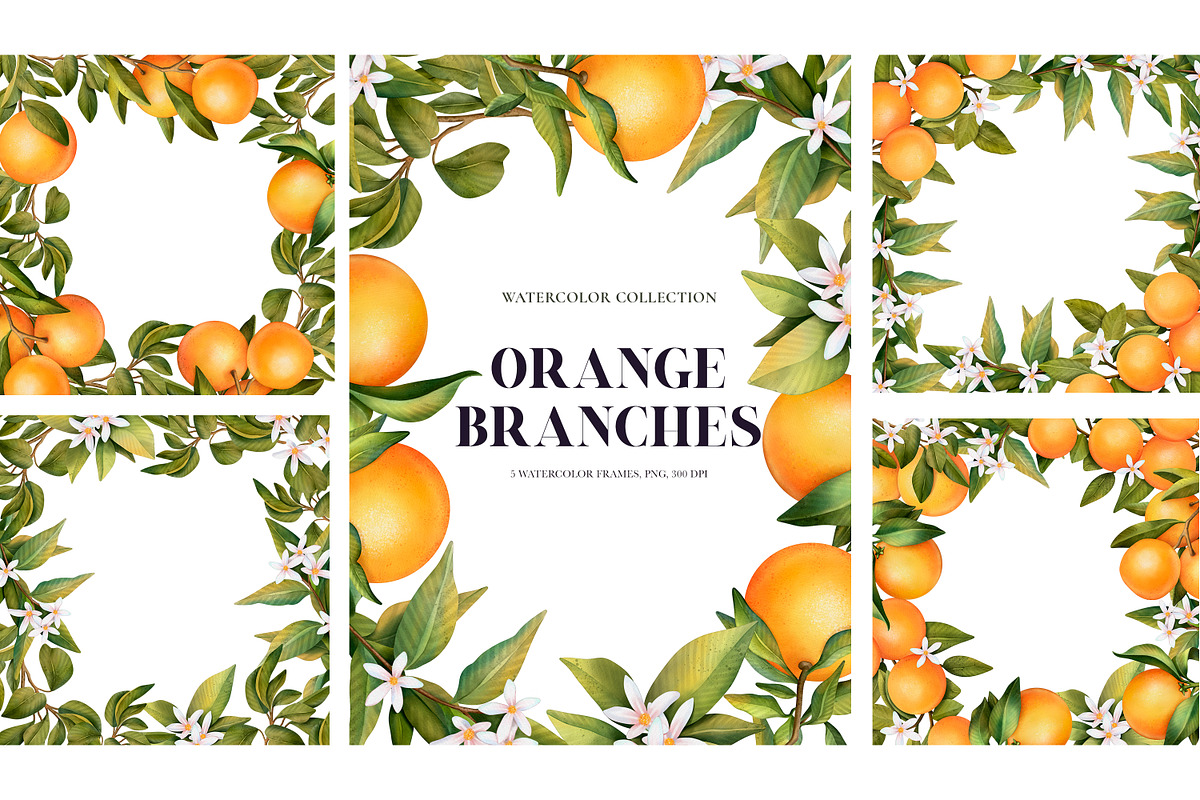 Orange Branches. Watrecolor PNG, an Illustration by OlyaGutArt (Photo 3 of 6)