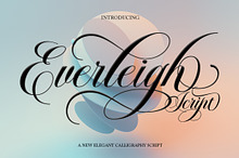 Everleigh Script