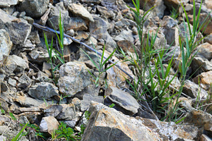 Large boulder fallen from a landslide blocking the road, a Nature Photo by Antonio Gravante Market