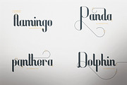 Fonatik Display font + Extras, a Sans Serif Font by VP Fonts (Thumbnail 2 of 21)