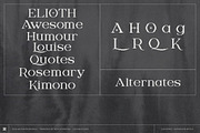 DIGITANY, a Serif Font by Bagerich Type Foundry (Thumbnail 4 of 9)