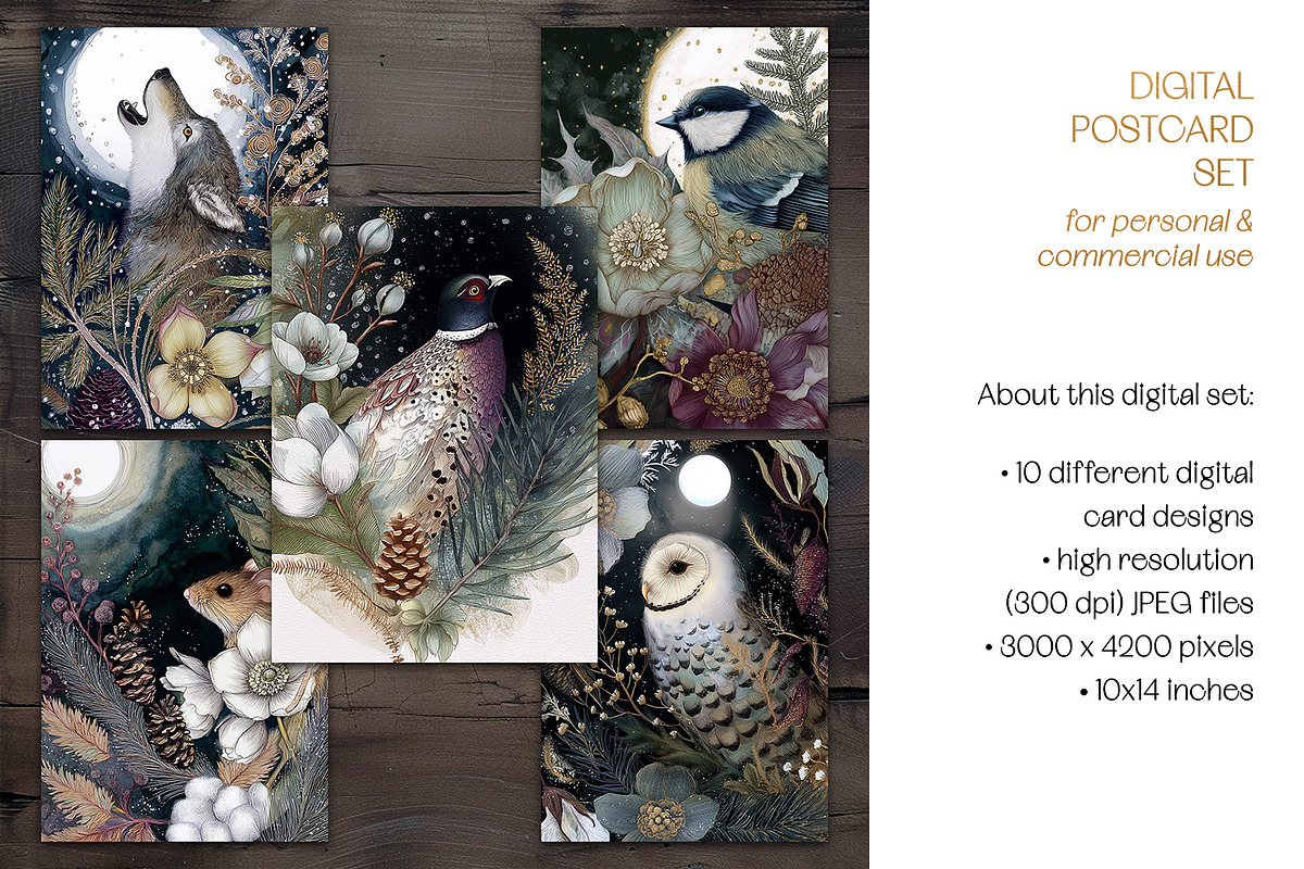 The Dark of Winter Illustration Set, an Animal Illustration by The Dutch Lady Designs (Photo 7 of 7)