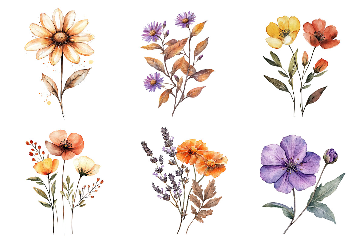 Autumn Wildflowers Clipart, an Illustration by CreationArt (Photo 5 of 5)