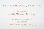 Ristretto, a Script Font by Funtype (Thumbnail 7 of 8)