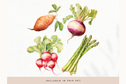 Watercolor Vegetables Clipart, Fresh, a Decorative Illustration by illuztrate (Thumbnail 3 of 9)
