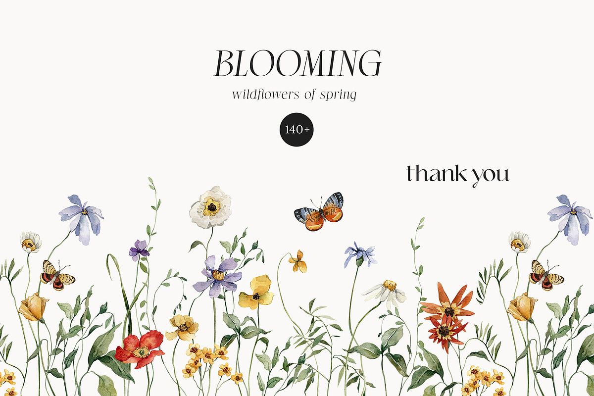 BLOOMING wildflowers of spring, a Seasonal Illustration by AleksaArt (Photo 13 of 13)