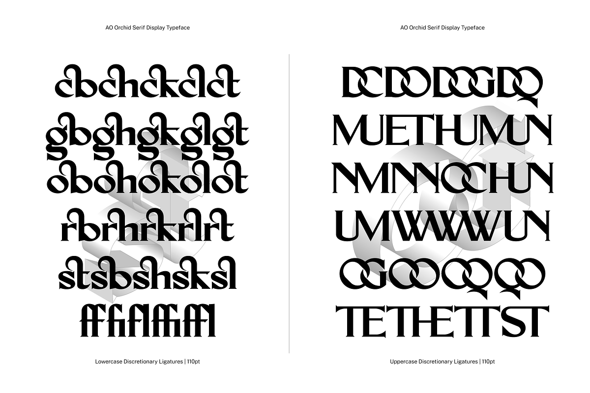 AO Orchid - Decorative Typeface, a Serif Font by OwunStudio (Photo 6 of 15)