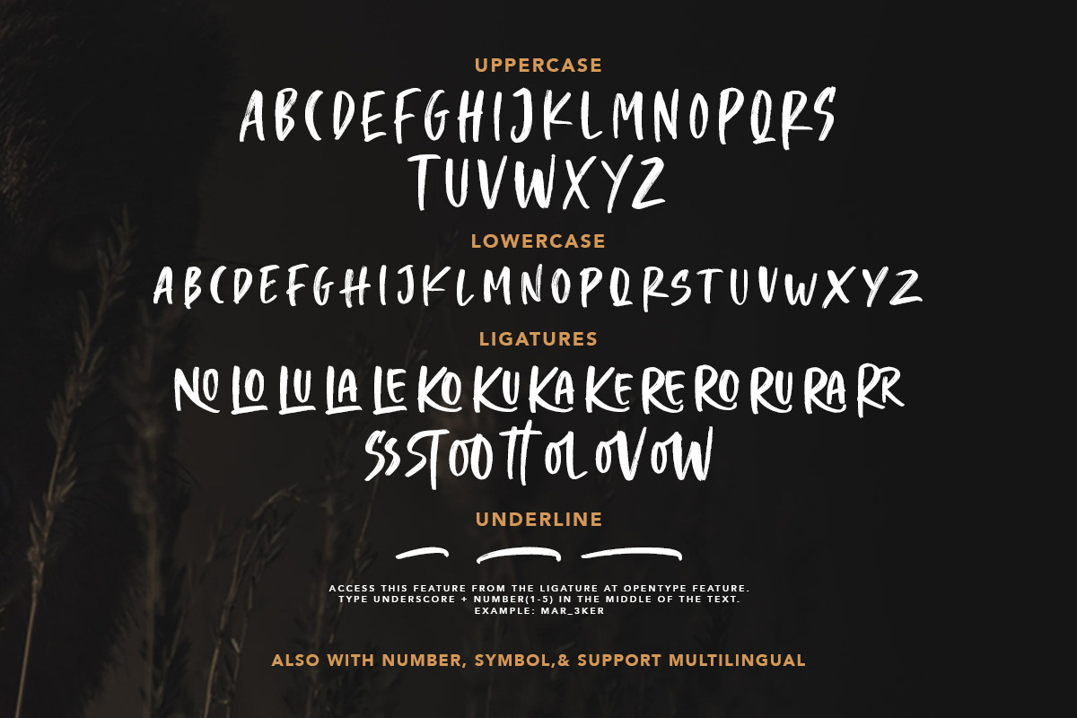 Crooked Hooks - Dry Brush Font preview 6