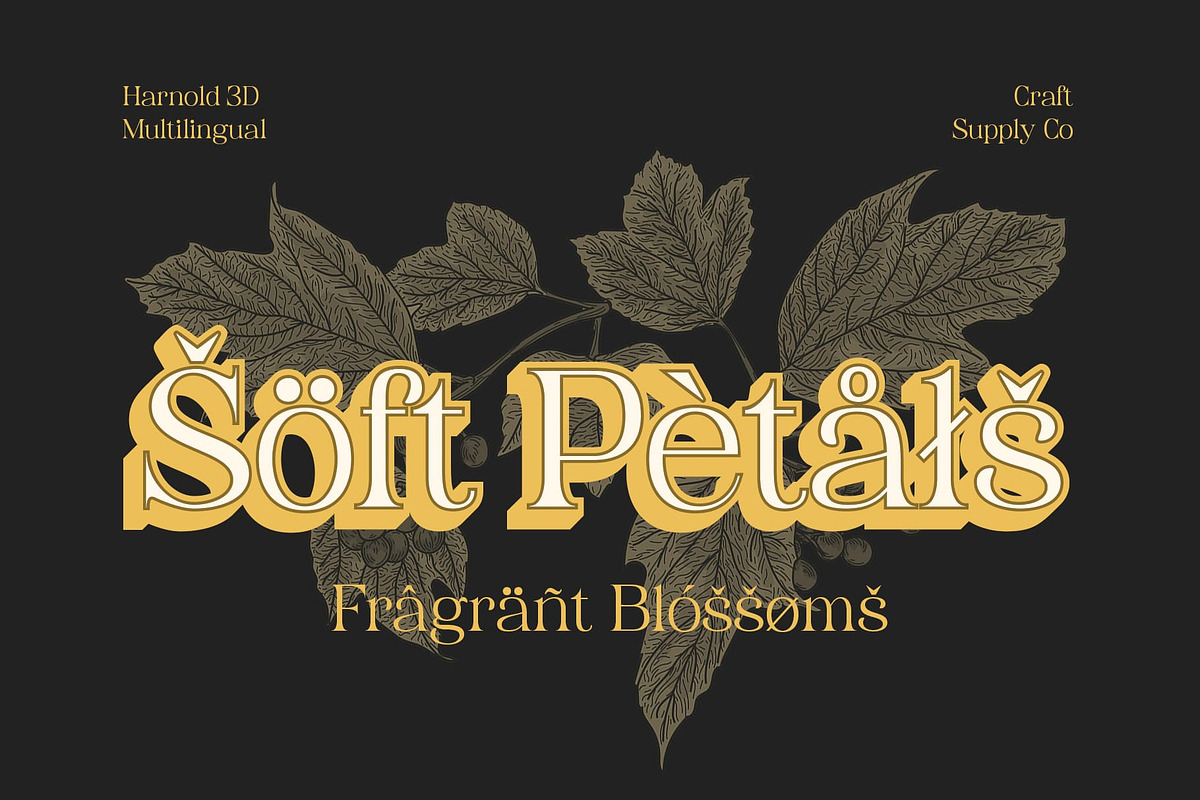 Harnold 3D, a Serif Font by Craft Supply Co. (Photo 5 of 8)