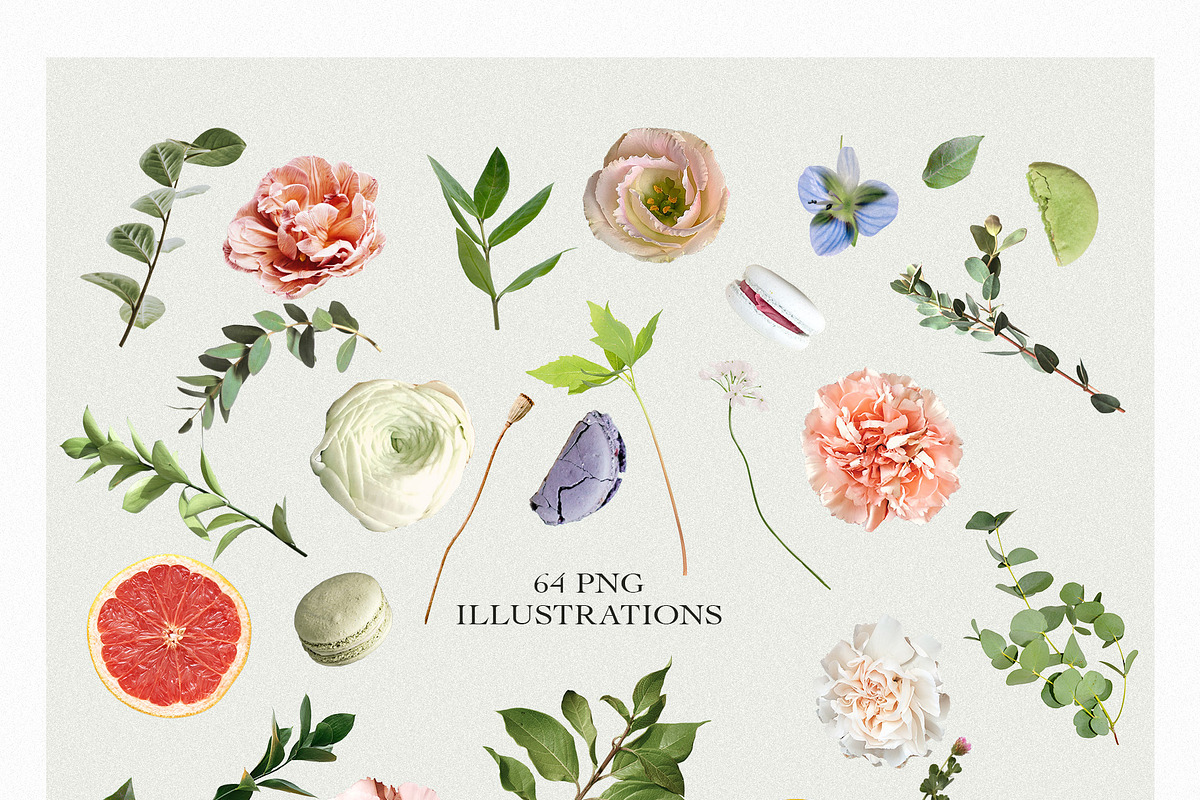 Candy Rustic Floral Clipart Set, an Object Illustration by anastasiia.art (Photo 9 of 10)
