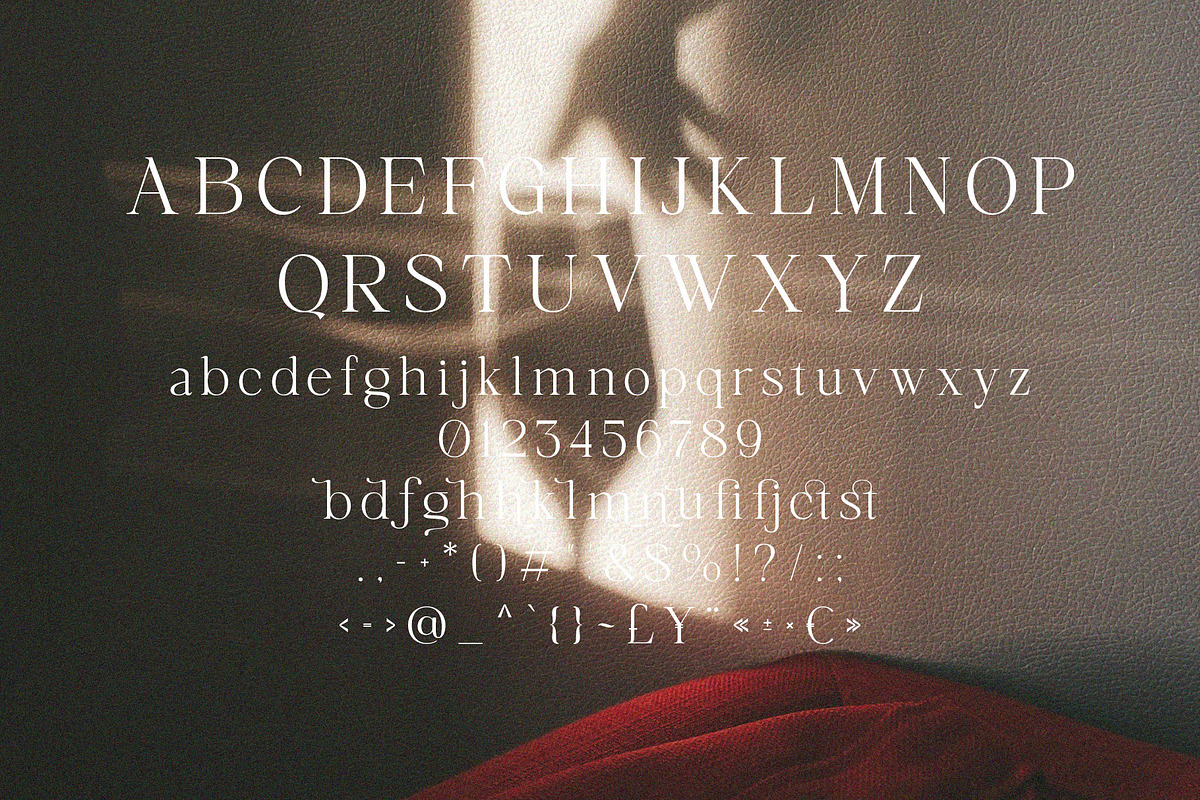 Saufonica - Modern Elegant Serif, a Serif Font by Jimoji (Photo 11 of 11)