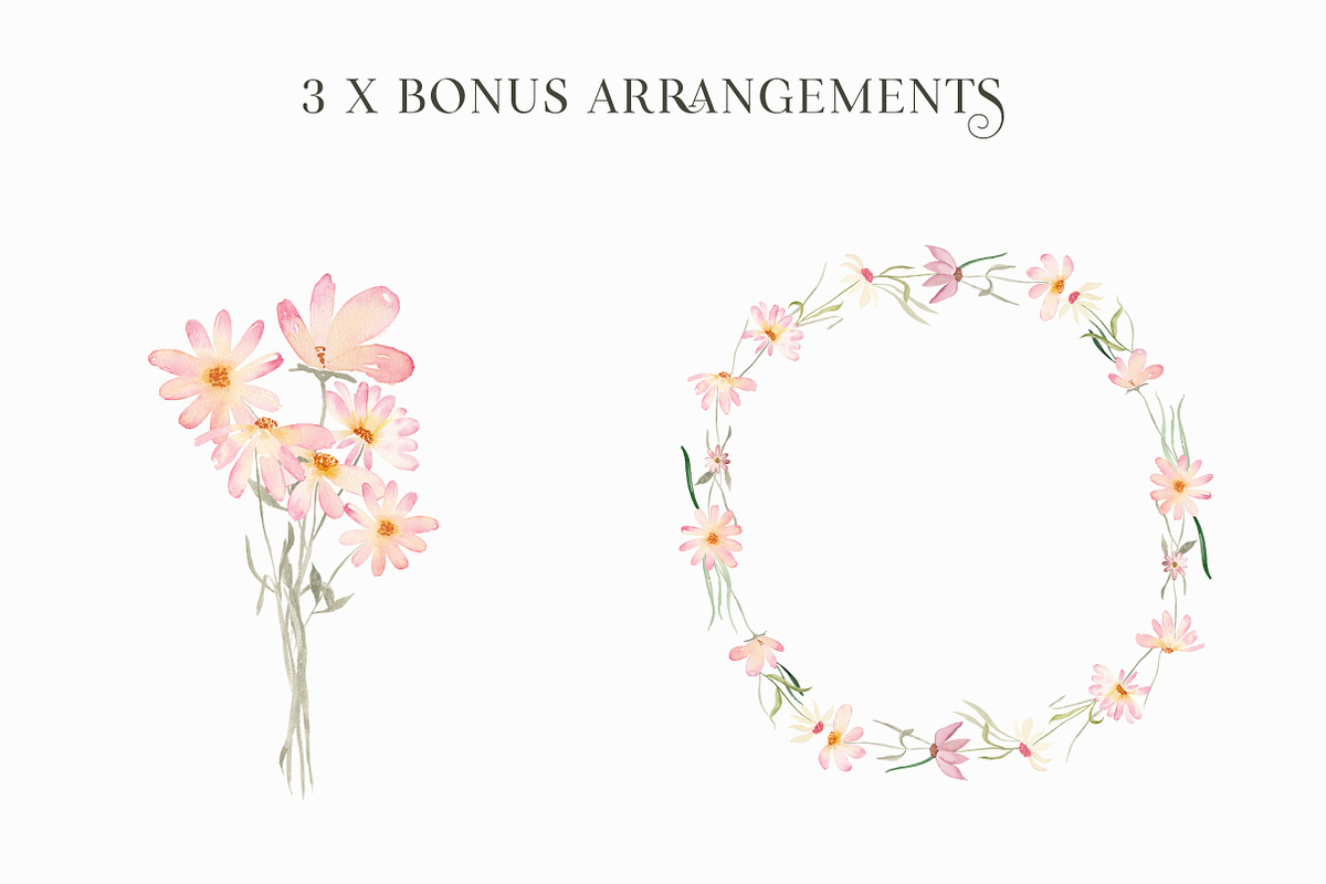 Daisy Belle - Watercolor Flowers, an Illustration by The Autumn Rabbit Ltd (Photo 3 of 6)