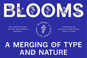BN Blooms, a Sans Serif Font by Bnick (Thumbnail 1 of 17)