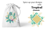 Tropics.Vector Art., an Animal Illustration by TashaDraw (Thumbnail 5 of 9)