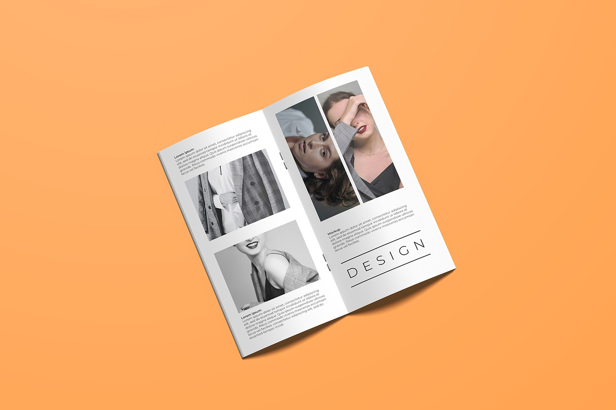 DL Brochure Mockup, a Books & Magazine Mockup by Lxadesign (Photo 8 of 12)