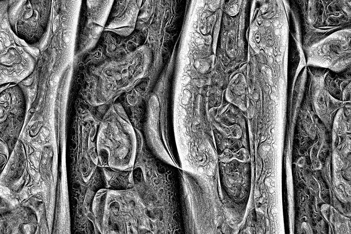 Cytoplasm, a Texture Graphic by Jennifer Lauren Creative (Photo 7 of 9)