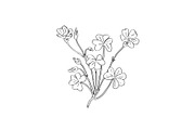 Wood Sorrel Wild Plant Drawing, a Decorative Illustration by patrimonio (Thumbnail 1 of 3)
