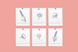 Floral Bows Vector Illustrations