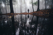 Haunted Halloween Forest Pack 1, a Holiday Photo by Atmospheric visuals (Thumbnail 3 of 6)