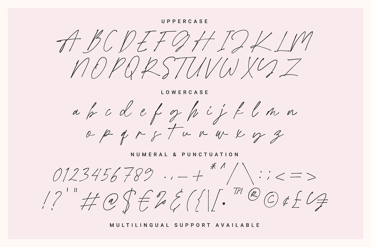 Love Limits - Lovely Stylish Font, a Script Font by Prioritype Co (Photo 9 of 10)