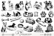 95 line art Dogs clip art, an Animal Illustration by Poppy Lane Studio (Thumbnail 8 of 11)