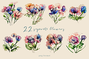 Watercolor Flowers | Hand-drawn, an Illustration by Tamara Sary (Thumbnail 2 of 6)