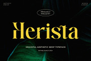 Herista - Aesthetic Serif Font, a Serif Font by Jimoji (Thumbnail 1 of 7)