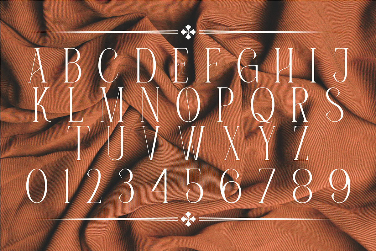 Roman Cavalry, a Serif Font by And Studio (Photo 2 of 14)