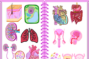 Biology & Anatomy goodnotes stickers, an Education Illustration by Noorist (Thumbnail 2 of 32)