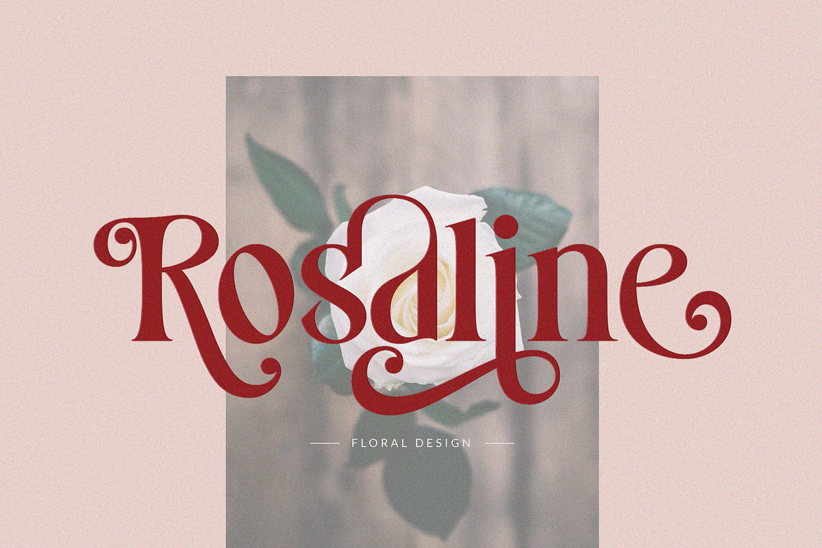 Costa Nova || display Ligature serif, a Serif Font by ToniStudio (Photo 6 of 12)