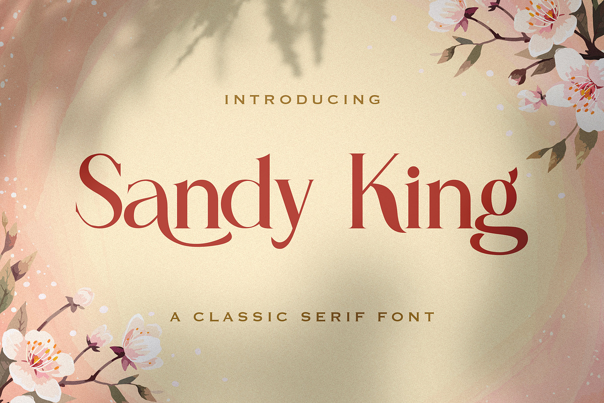Sandy King - Casual Serif Font, a Serif Font by StringLabs (Photo 1 of 8)