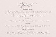 Scandinest - Signature With Ligature, a Script Font by Dirtytemp Studio (Thumbnail 16 of 16)