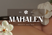 Galinoy - Bold Modern Serif Display, a Serif Font by Qweera Studio (Thumbnail 3 of 12)