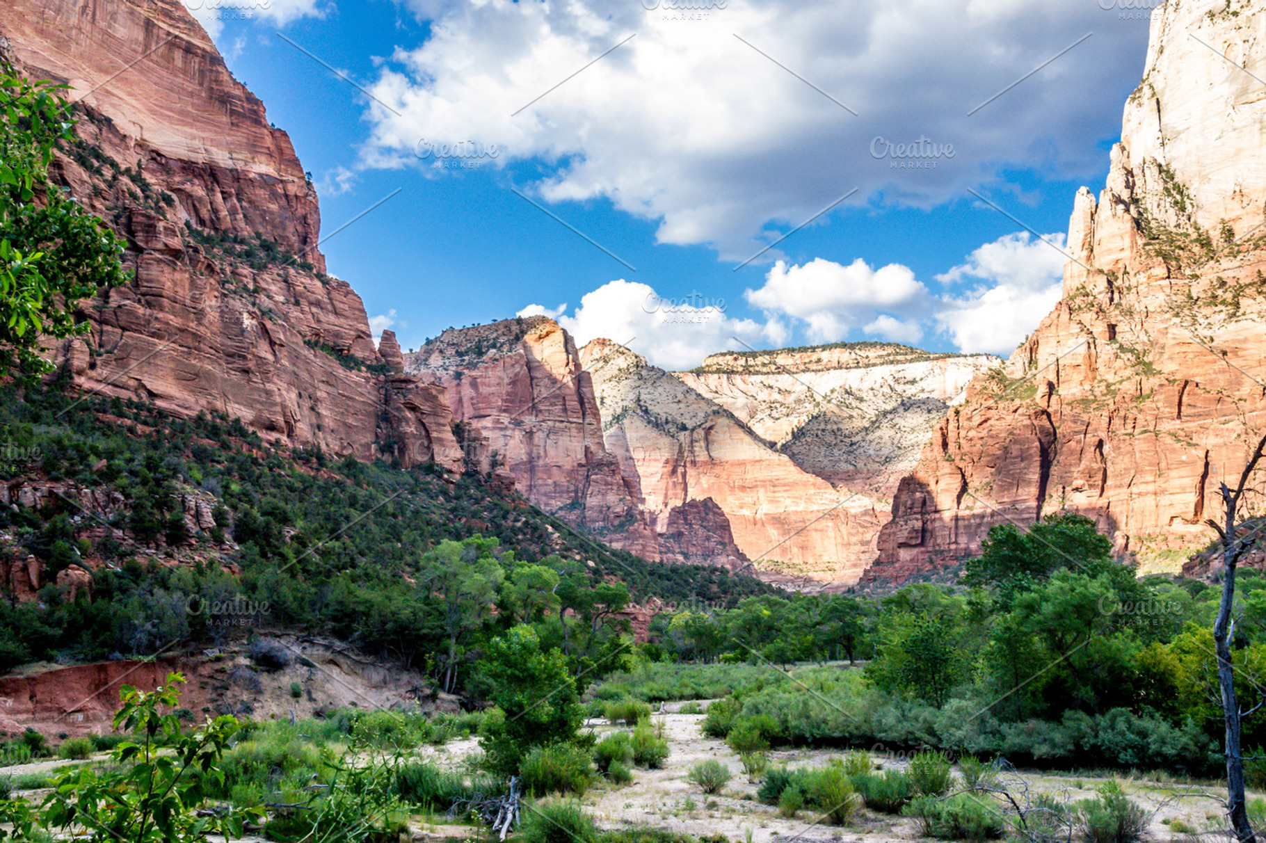 Zion featuring tourism, trail, and travel, a Nature Photo by Kitko photography shop